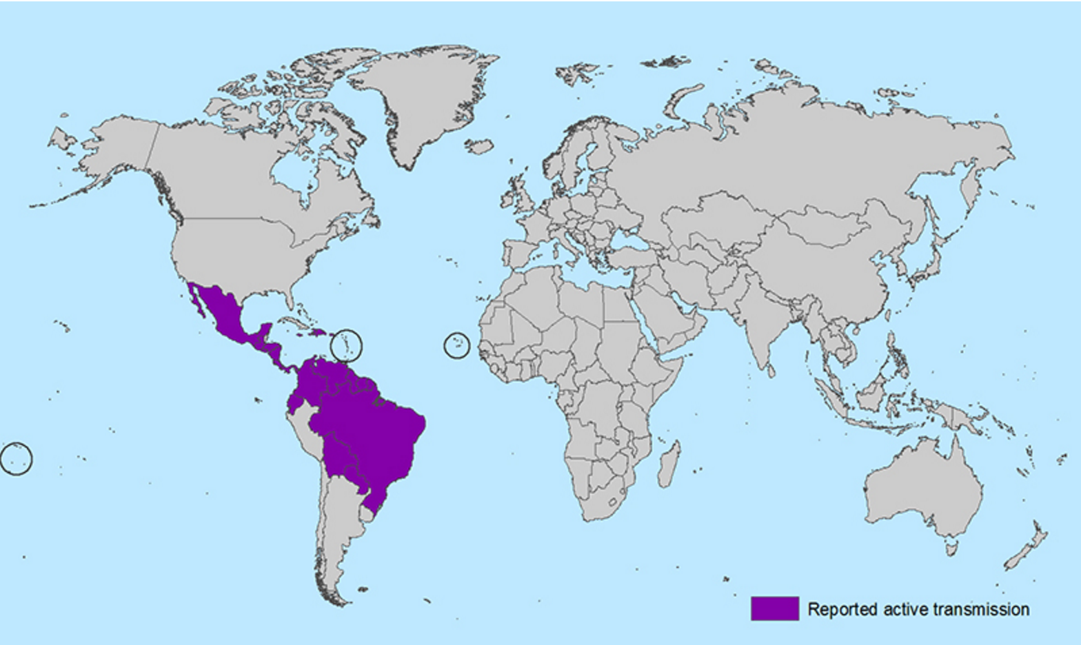 Virus Zika, cosa c'è da sapere